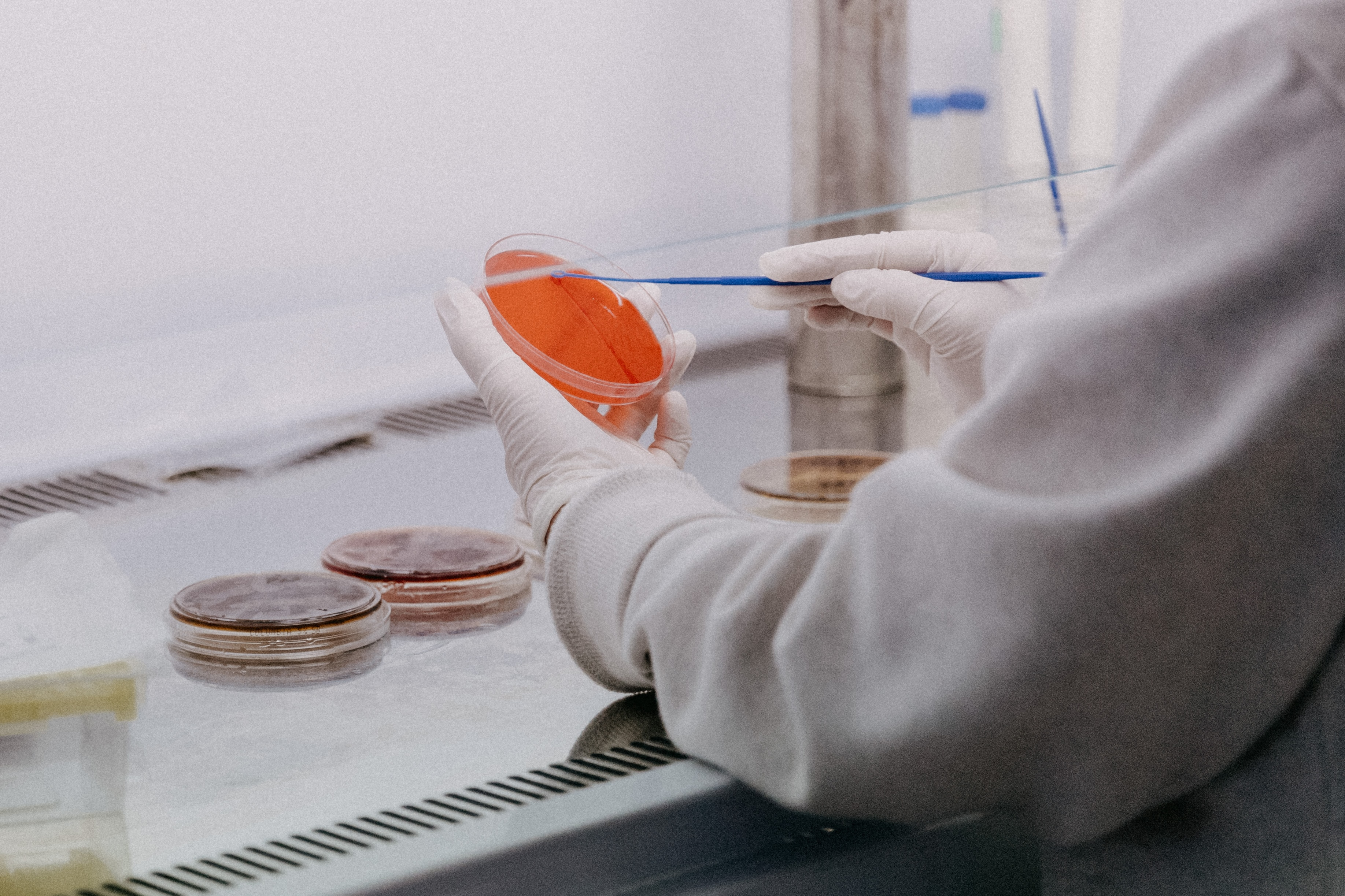 ALL LAB SERVICES – Beirm Bio